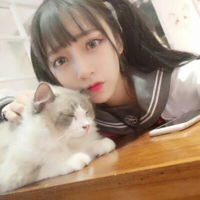 阴阳三国志无限钻石版下载